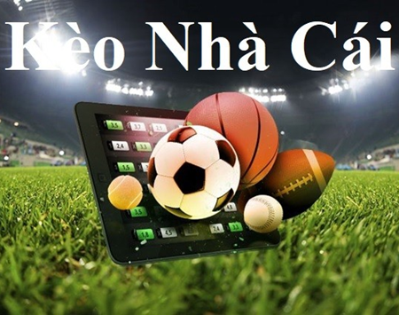 Kinh nghiệm đá gà online M0088