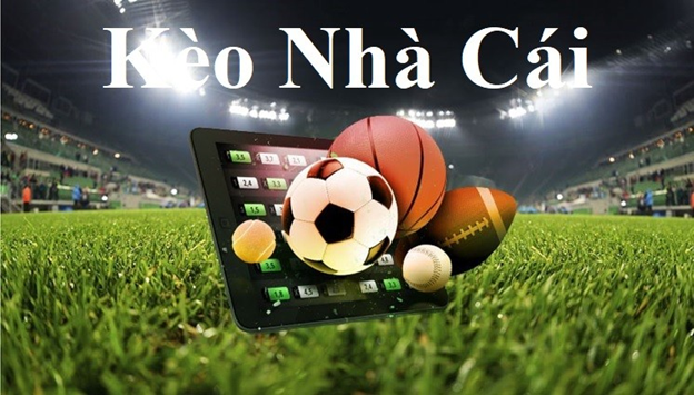 Kinh nghiệm đá gà online M0088 Kinh nghiệm đá gà online M0088